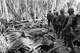 Image result for Vietnam War Dead by State