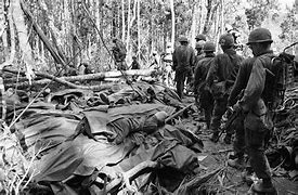 Image result for Vietnam War Action