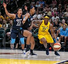 Image result for Indianapolis Fever