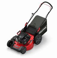 Image result for AWD Push Mower Gas
