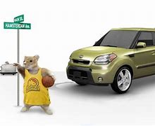 Image result for Kia Soul Hamster Window Graphic