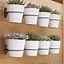 Image result for Indoor Wall Planters
