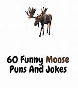 Image result for Moose Puns
