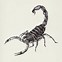 Image result for Awesome Scorpion Wallpaper
