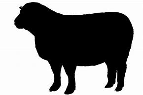 Image result for Black Sheep Silhouette