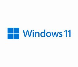 Image result for Windows 11 Pro Logo