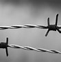 Image result for World War 1 Barbed Wire