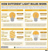 Image result for Bulb Science