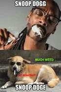 Image result for Weed Dog Meme