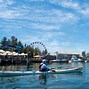 Image result for Sea Kayak Paddle