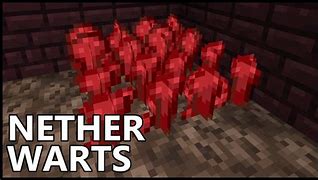 Image result for Nether Wart
