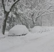 Image result for Snowstorm