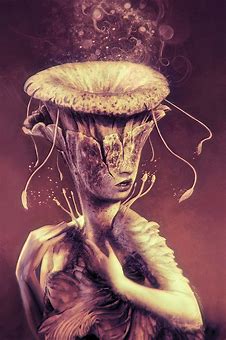 Image result for Fungus Art