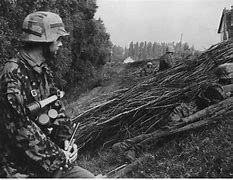 Image result for WW2 Waffen SS
