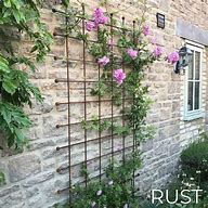 Image result for Plant Support Trellis