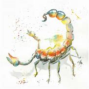 Image result for Desert Scorpion Art