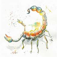 Image result for Abstract Scorpion Art