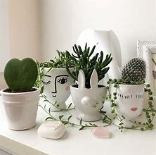 Image result for Cool Plant Pots