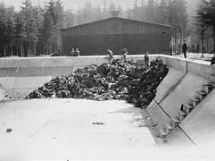 Image result for Auschwitz Swimming Pool