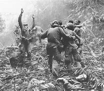Image result for Vietnam War U.S. Casualties