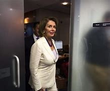 Image result for Nancy Pelosi Europe Suit