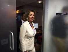 Image result for Nancy Pelosi House Wall around Her