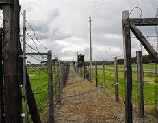 Image result for Majdanek Concentration Camp