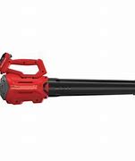Image result for 20 Volt Cordless Blowers