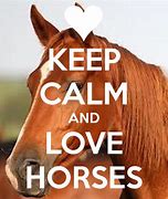 Image result for Keep Calm Horse Quotes