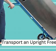 Image result for True Upright Freezer