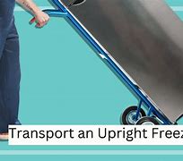 Image result for Large Capacity Upright Freezer