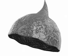 Image result for Thin Foil Hat