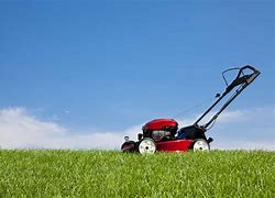 Image result for Push Grass Mower