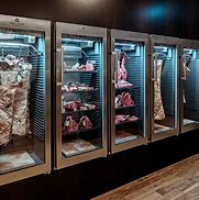 Image result for Dry Aging Cabinet