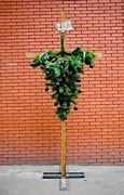 Image result for Full Artificial Christmas Trees