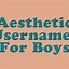 Image result for Aesthetic Usernames for Guys