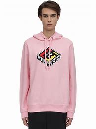 Image result for Burberry Sweatshirt Colorful Logo