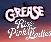 Image result for Authentic Grease Pink Ladies Jacket