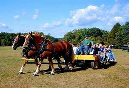 Image result for old fashioned hayride