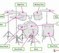 Image result for Drum Anatomy