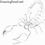 Image result for Scorpion Animal Drawing