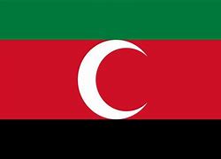 Image result for Darfour Flag