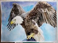 Image result for Bald Eagle Watercolor