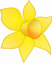 Image result for Daffodil Cartoon