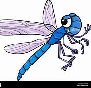 Image result for Funny Cartoon Dragonfly
