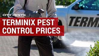 Image result for terminix pest control