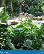 Image result for Singapore Zoological