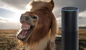 Image result for Alexa Funny Questions to Ask
