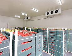 Image result for Freezer Cold Storage Warehouse