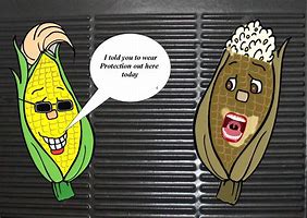 Image result for Corny Puns